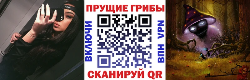 где можно купить   блэк спрут как войти  Галлюциногенные грибы MAGIC MUSHROOMS  Ершов 